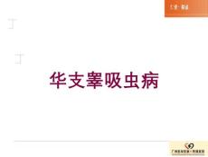 医学医疗-华支睾吸虫病培训课件