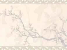 子宫肌瘤-课件