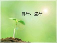 -自汗、盗汗课件