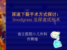 尿道下裂【25页】
