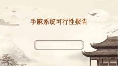 2025年手麻系统可行性报告