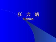 狂犬病_
