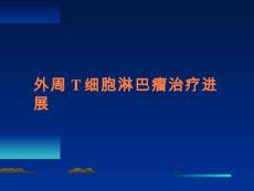 外周T细胞淋巴瘤治疗进展【74页】