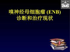 嗅神经母细胞瘤【76页】