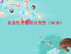 亚急性脊髓联合变性