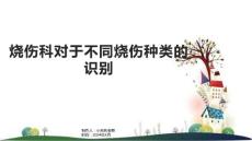 烧伤科对于不同烧伤种类的识别