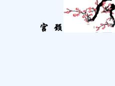 宫颈癌-PPT