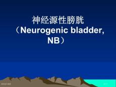 神经源性膀胱