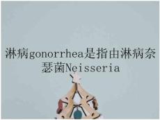 淋病gonorrhea是指由淋病奈瑟菌neisseria