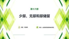 少尿无尿和尿储留培训课件