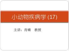 血肿外耳道炎食道阻塞皮脂腺瘤与乳腺肿瘤的诊断