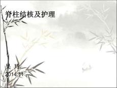 脊柱结核及护理ppt