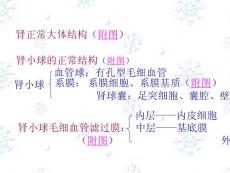 肾小球肾炎pps