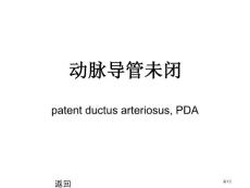 动脉导管未闭培训课件