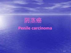 源阴茎癌主题讲座培训课件