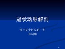 冠状动脉解剖