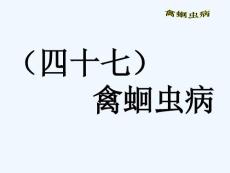 禽蛔虫病的防治-