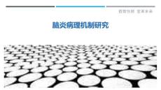 脑炎病理机制研究