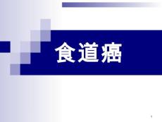 食道癌【28页】