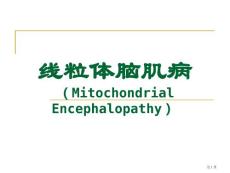 线粒体脑肌病培训课件培训课件