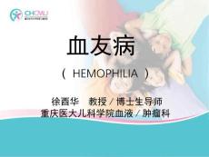 血友病【21页】