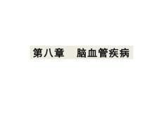 脑血管病【24页】