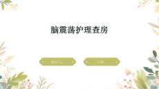 脑震荡护理查房