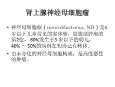 肾上腺神经母细胞瘤ppt课件