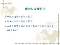 急进性肾小球肾炎