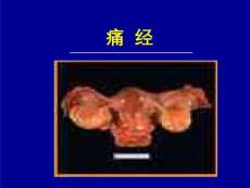 痛经【14页】