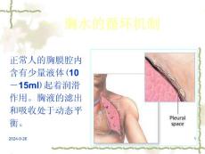 少量胸腔积液