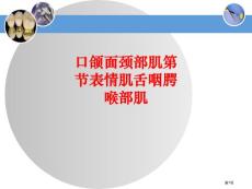 口颌面颈部肌表情肌舌咽腭喉部肌培训课件