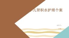 小儿肾积水护理个案