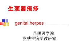 生殖器疱疹知识讲座培训课件