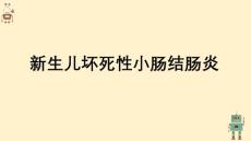新生儿坏死性小肠结肠炎【31页】