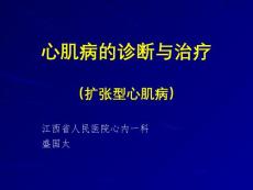 扩张型心肌病【38页】