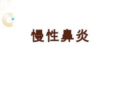 慢性鼻炎【13页】
