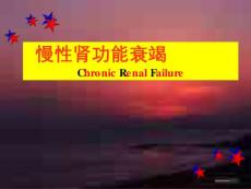 慢性肾功能衰竭【102页】