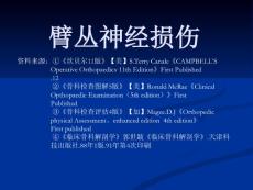 臂丛神经损伤培训课件