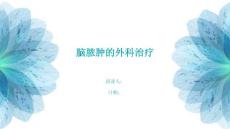 脑脓肿的外科治疗