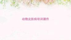 2024年动物皮肤病培训课件