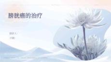 膀胱癌的治疗