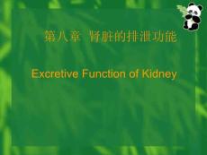第八章 肾脏的排泄功能Excretive function of kidney 学习要求1．了解