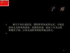 子痈_精品文档