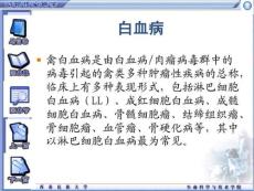 禽白血病是由白血病肉瘤病毒群