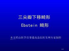 三尖瓣下移畸形培训课件培训课件