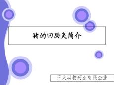 猪回肠炎猪回肠炎简介培训课件