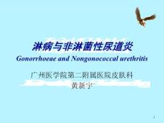 淋病与非淋菌性尿道炎培训课件