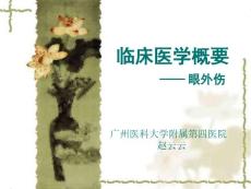 眼外伤