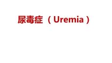 尿毒症【15页】